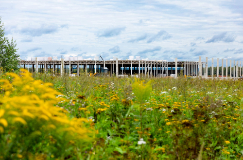 Завод гофроупаковки